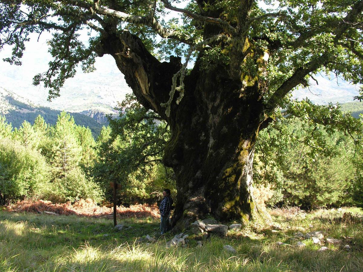 Hotel Paradiso Delle Madonie Castelbuono  Bagian luar foto